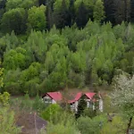 Kamyanka *